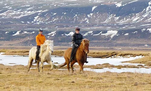 Ridresa på Island med naturens skatter och vackra landskap