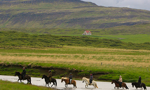 Rider på svarta stränder och gröna berg på Island
