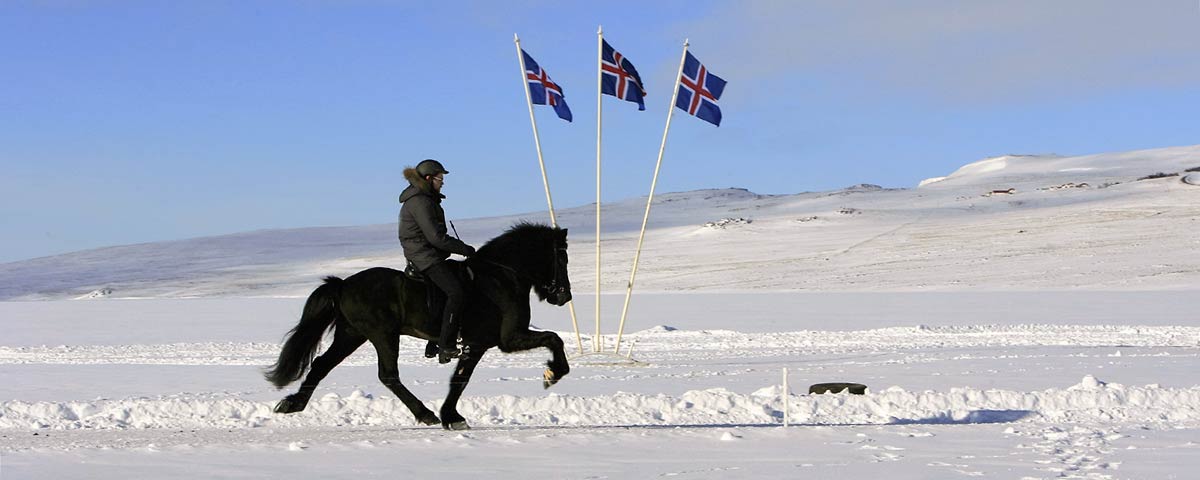 Rider islandshäst på vintern på Island