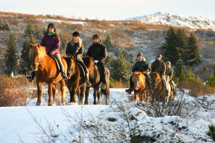 rider islandshäst på vintern i naturreservatet heiðmörk