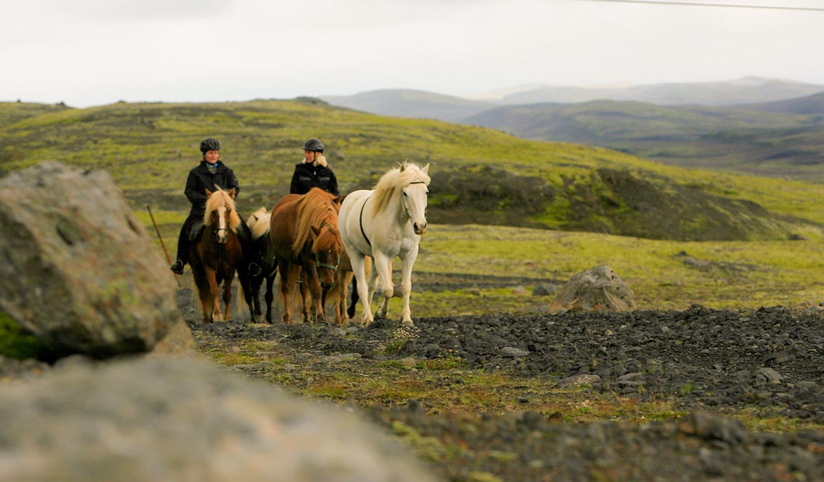 Ridresa till Island med Eploring Iceland och Ridresorisland