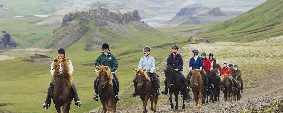  Rider Gyllene Cirkeln genom den vackra landsbygden på södra Island