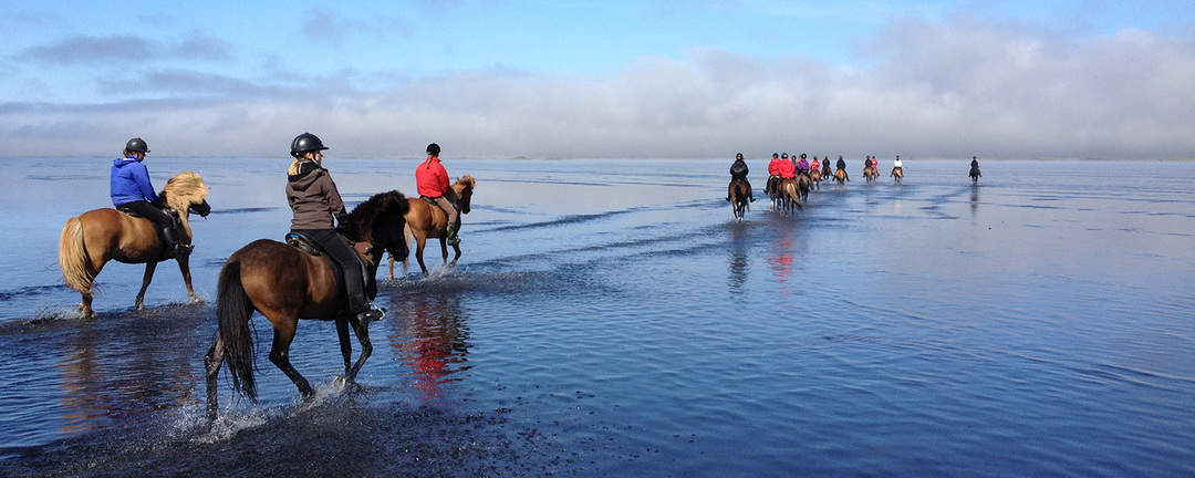 Rider på islandshästar tvärs över den grunda sjön Hóp på Island