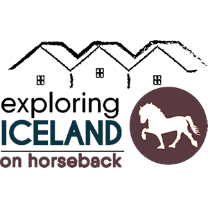 Lyxigare ridresor med Exploring Iceland on horseback