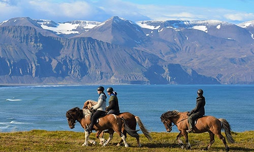 Saltvik ridresa med Riding Iceland på norra Island med kort flerdagstur