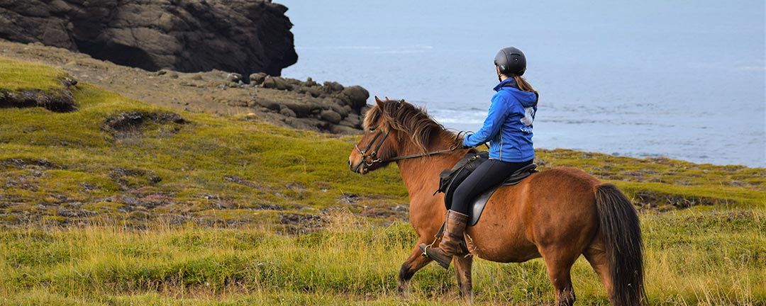 Rider islandshäst på ridturen Diamond Circle Comfort på Island