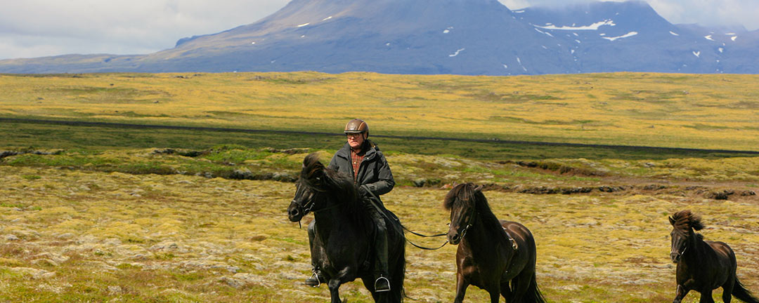 Ridresa med ryttare som rider över en höglandsplatå på Island