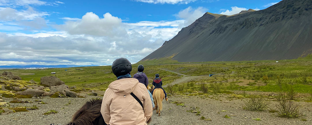 Ridresa med svartgröna berg på Island